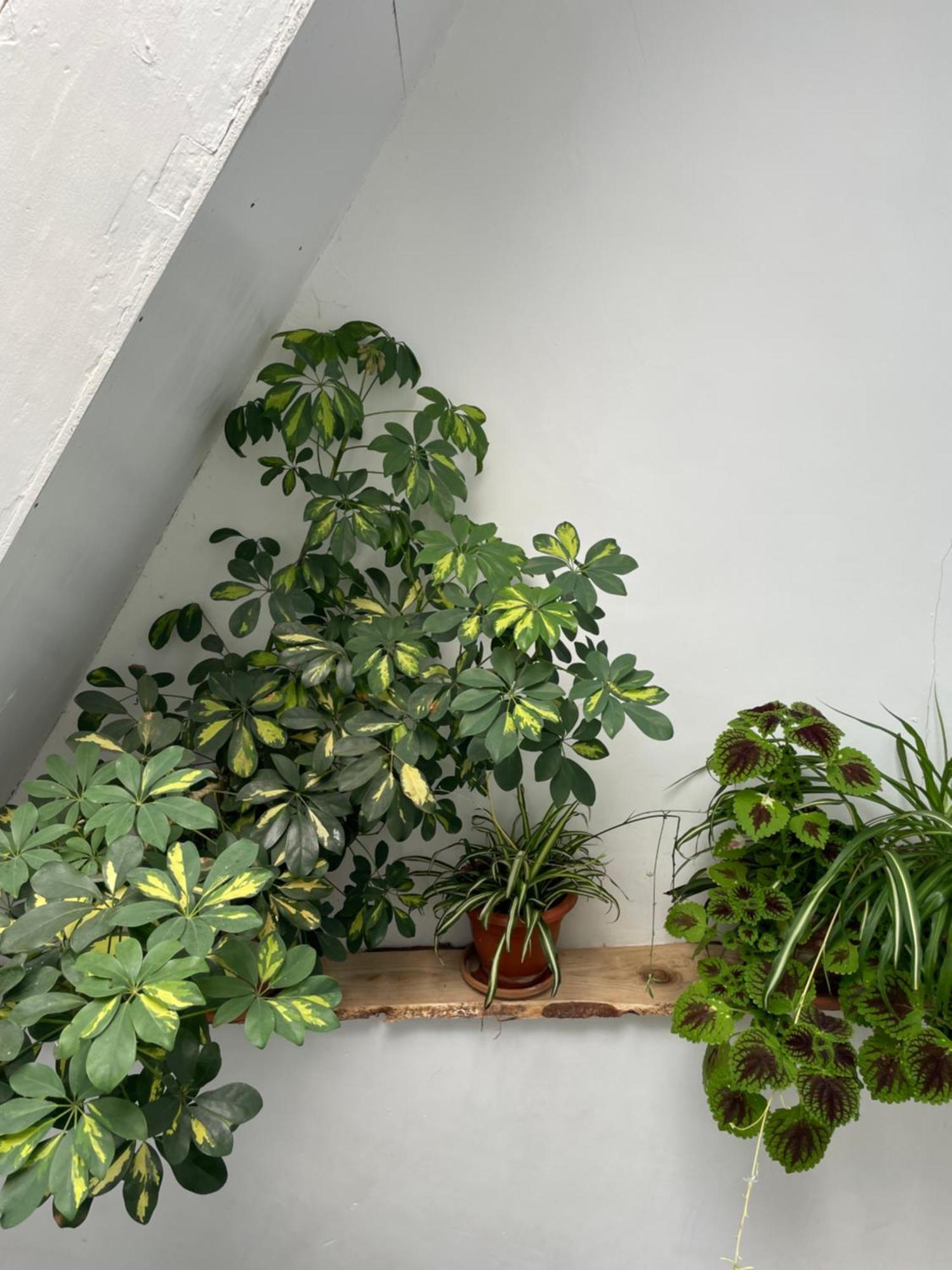Charito 18 Apartment Cadiz Exterior photo